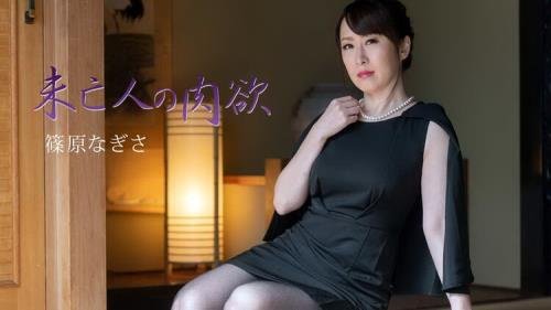 Heyzo - Nagisa Shinohara - Widows Sexual Desire Vol.3 (FullHD/1080p/2.14 GB)