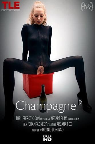 TheLifeErotic - Areana Fox - Champagne 2 (FullHD/1080p/452 MB)