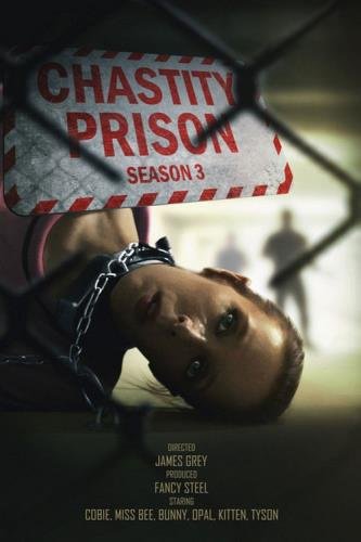 Fancysteel - Chastity Prison - Season 3 (FullHD/1080p/2.35 GB)