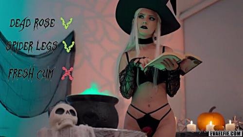 Onlyfans - Eva Elfie Halloween Witch Cosplay Sex Video Leaked (HD/720p/159 MB)