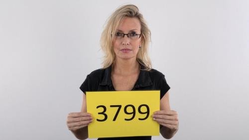 CzechCasting - Ludmila (3799) (FullHD/1080p/561 MB)