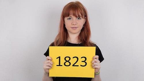 CzechCasting/CzechAV - Niky 1823 (FullHD/1080p/678 MB)
