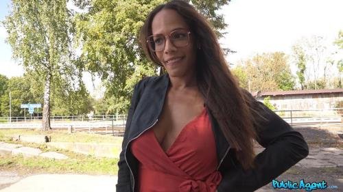 PublicAgent/FakeHub - Diana Lawrence, Martin Gun  French Breast Is Best (FullHD/1080p/2.95 GB)