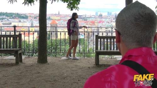 FakeHostel - Vicky Love Picked up on the road (FullHD/1080p/969 MB)